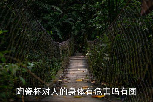 陶瓷杯對人的身體有危害嗎有圖