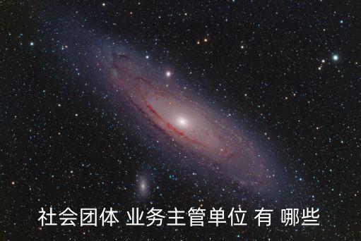 社會團體 業(yè)務主管單位 有 哪些