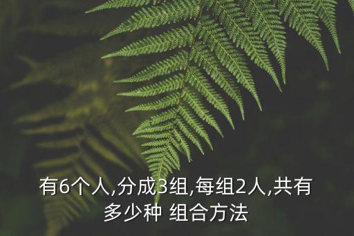 六個人的組合,選擇第二組還是第三組?答案揭曉