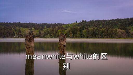 meanwhile與while的區(qū)別