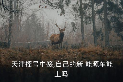 天津新能源車,天津new能源如何獲得汽車補貼費用?