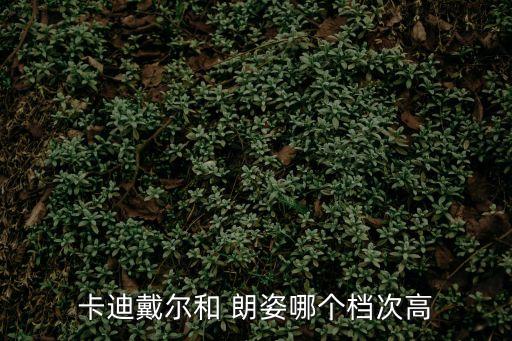 朗姿女裝是幾線品牌,這些服裝品牌的檔次