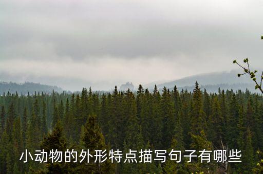 狗的外形特點(diǎn)描寫，描寫小狗的外形特點(diǎn)100字
