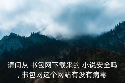 請問從 書包網下載來的 小說安全嗎, 書包網這個網站有沒有病毒