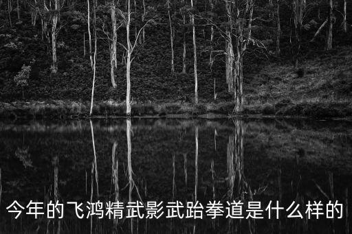 今年的飛鴻精武影武跆拳道是什么樣的