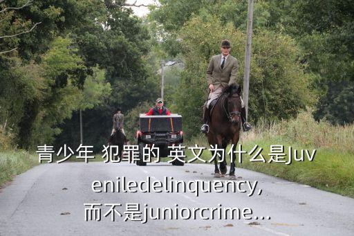 青少年 犯罪的 英文為什么是Juveniledelinquency,而不是juniorcrime...