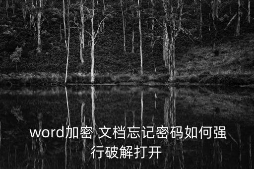  word加密 文檔忘記密碼如何強行破解打開