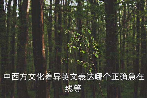 中西方文化差異英文表達哪個正確急在線等