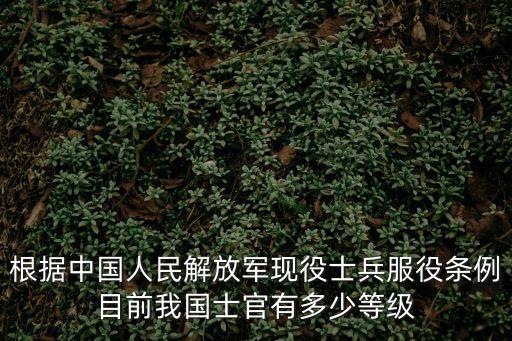 根據中國人民解放軍現役士兵服役條例目前我國士官有多少等級