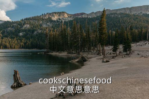 cooks,第三人稱單數(shù):cooks美國人