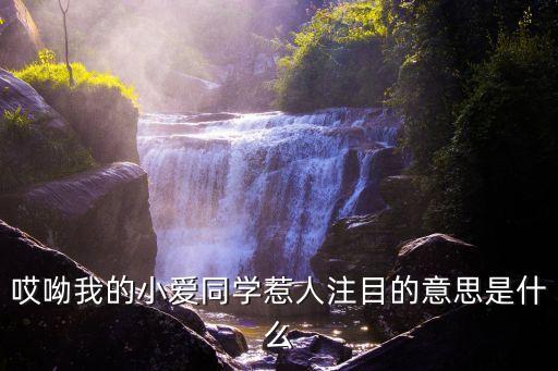哎呦我的小愛同學惹人注目的意思是什么
