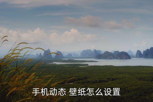 靜物壁紙,如何在百度搜索框中找到壁紙?