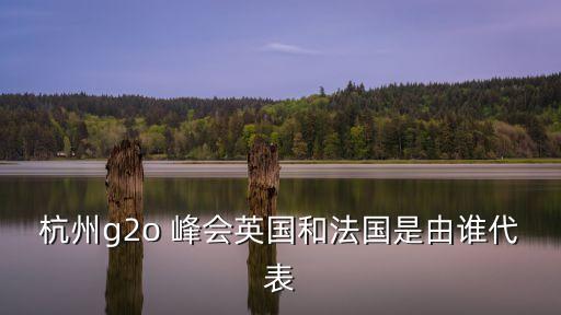 杭州g2o 峰會英國和法國是由誰代表