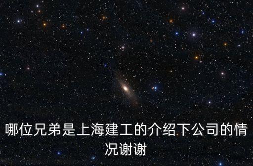 哪位兄弟是上海建工的介紹下公司的情況謝謝