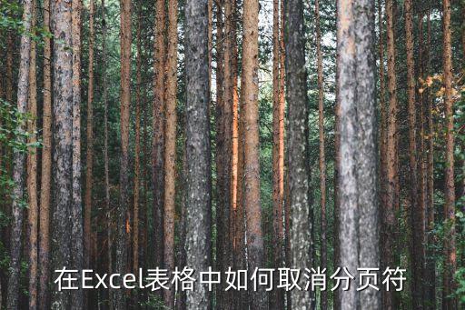 在Excel表格中如何取消分頁符