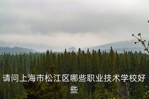 請問上海市松江區哪些職業技術學校好些