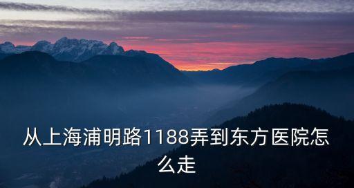 從上海浦明路1188弄到東方醫院怎么走