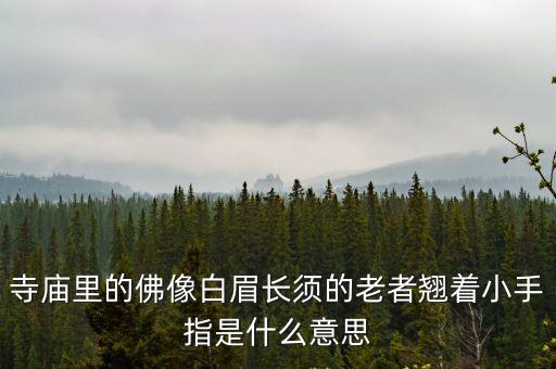 長眉,長眉羅漢上輩子是和尚