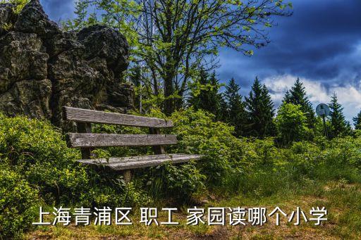 上海青浦區(qū) 職工 家園讀哪個(gè)小學(xué)