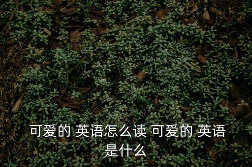 可愛(ài)英語(yǔ),可愛(ài)的英文縮寫:grace或grace可愛(ài)