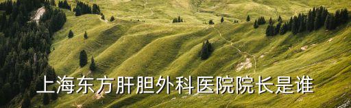 上海市肝膽醫院鄭亞新，上海東方肝膽外科醫院院長是誰