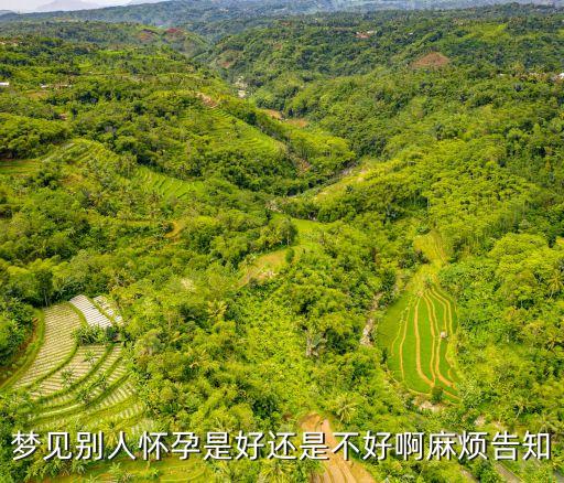 夢見別人懷孕是好還是不好啊麻煩告知