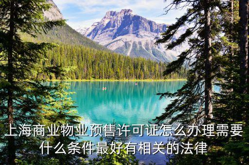 上海市商品房預售許可證，上海商品房預售許可證號在哪里查詢
