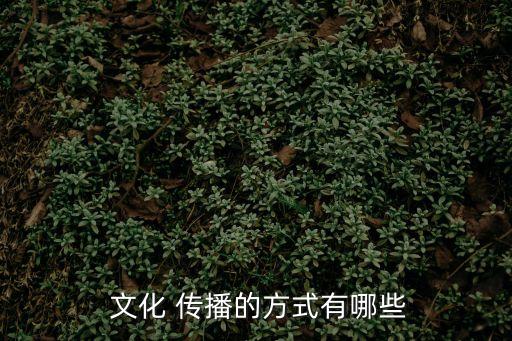  文化 傳播的方式有哪些