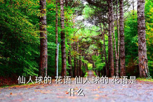 仙人球的花語,仙人球花語:堅強和愛情有關