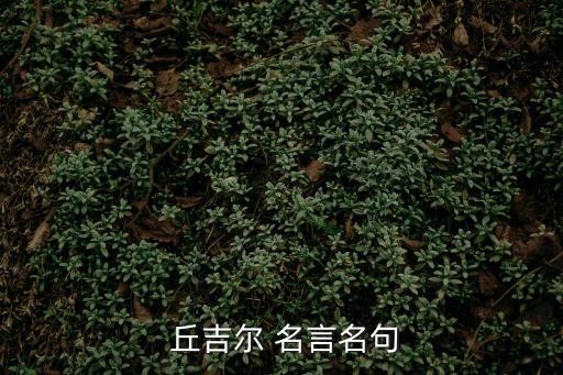 丘吉爾名言,忠貞的丘吉爾永不言棄