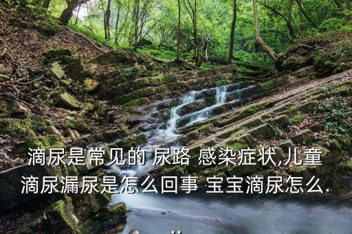 滴尿是常見的 尿路 感染癥狀,兒童滴尿漏尿是怎么回事 寶寶滴尿怎么...