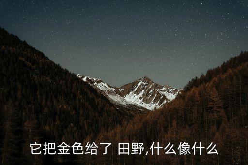 它把金色給了 田野,什么像什么