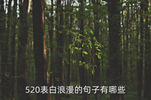 520表白浪漫的句子有哪些