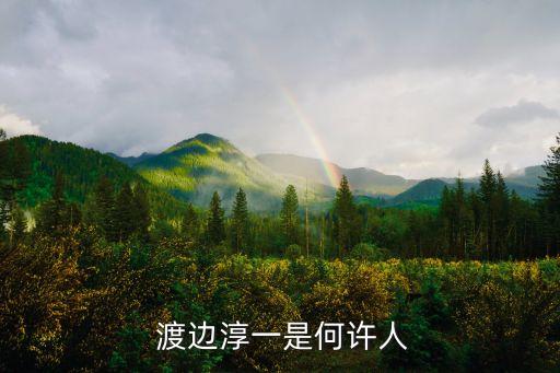  渡邊淳一是何許人
