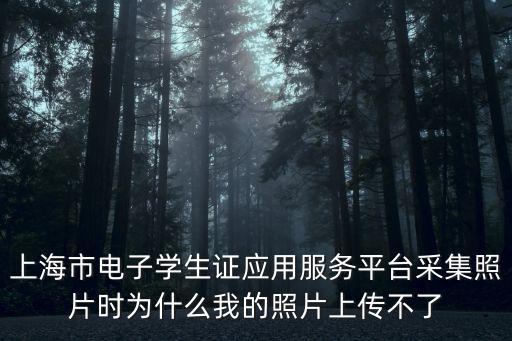 上海市電子學生證應用服務平臺采集照片時為什么我的照片上傳不了