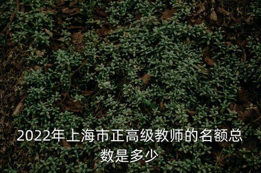 上海市首批正高級教師，上海退休加工資請問正高是啥意思