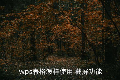  wps表格怎樣使用 截屏功能