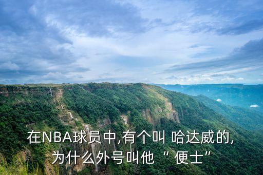 在NBA球員中,有個叫 哈達威的,為什么外號叫他“ 便士”