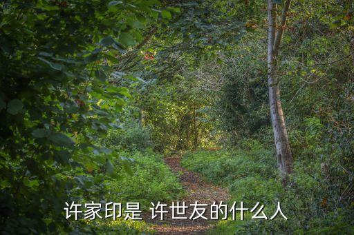許世友妻子,許世友將軍逝世享年96歲