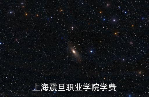 上海震旦職業(yè)學院學費