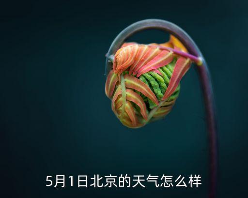 五月晴天,五月天，孩子一說就變臉北京天氣晴朗