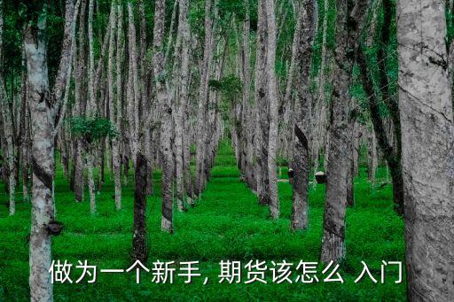 做為一個新手, 期貨該怎么 入門