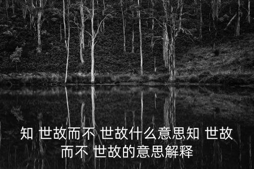 知世故而不世故,知世故not世故:不要太委婉世故