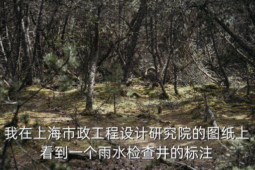我在上海市政工程設計研究院的圖紙上看到一個雨水檢查井的標注