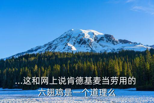 ...這和網上說肯德基麥當勞用的 六翅雞是一個道理么