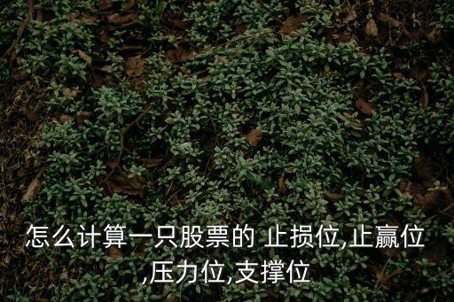 怎么計算一只股票的 止損位,止贏位,壓力位,支撐位