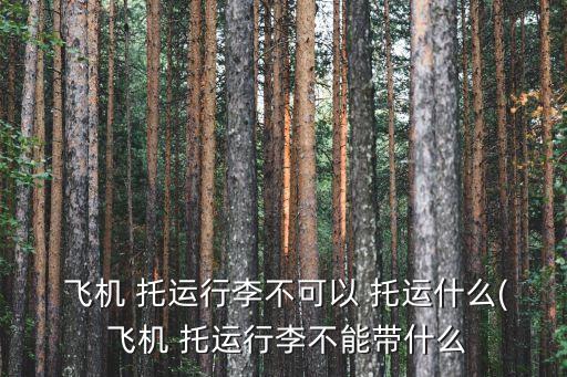 飛機托運不能帶什么,飛機托運行李禁止什么東西?