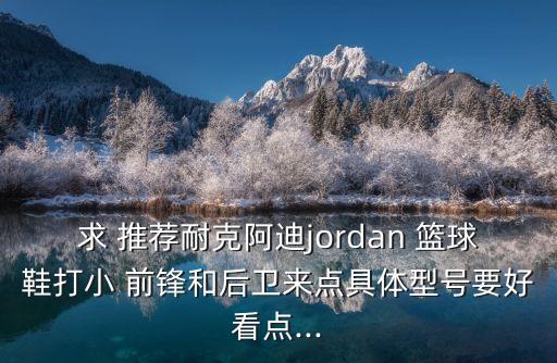 求 推薦耐克阿迪jordan 籃球鞋打小 前鋒和后衛來點具體型號要好看點...