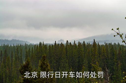  北京 限行日開車如何處罰