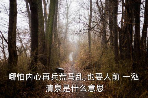 哪怕內(nèi)心再兵荒馬亂,也要人前 一泓 清泉是什么意思